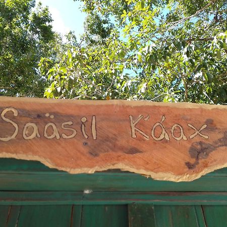 Saasil Kaax Villa Chemuyil Exteriör bild