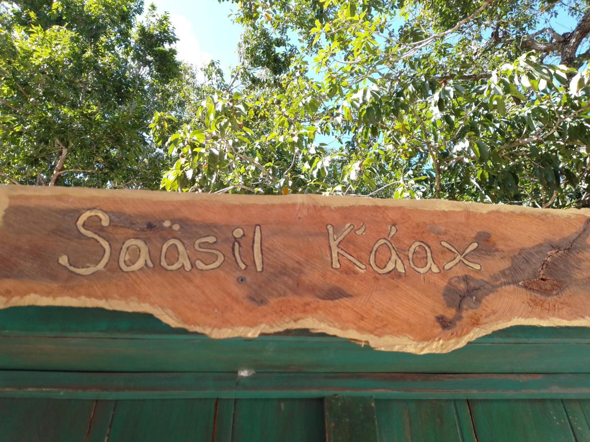 Saasil Kaax Villa Chemuyil Exteriör bild